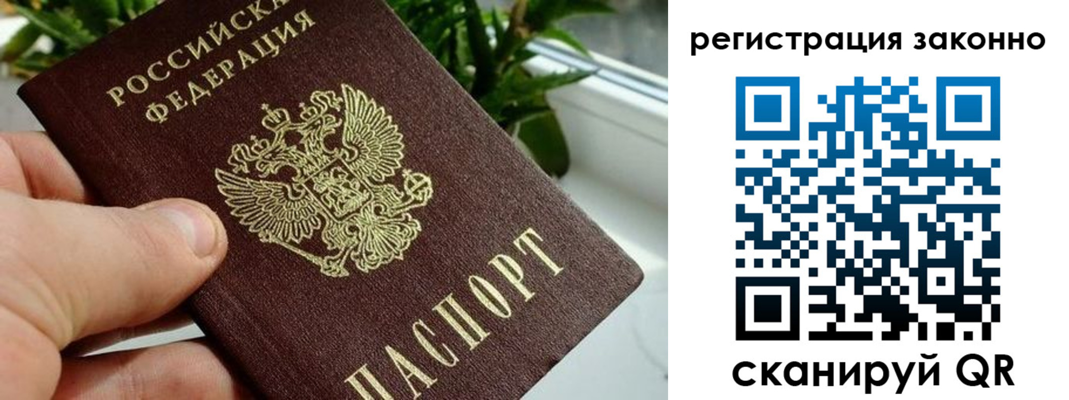 прописка гарантия в Цивильске